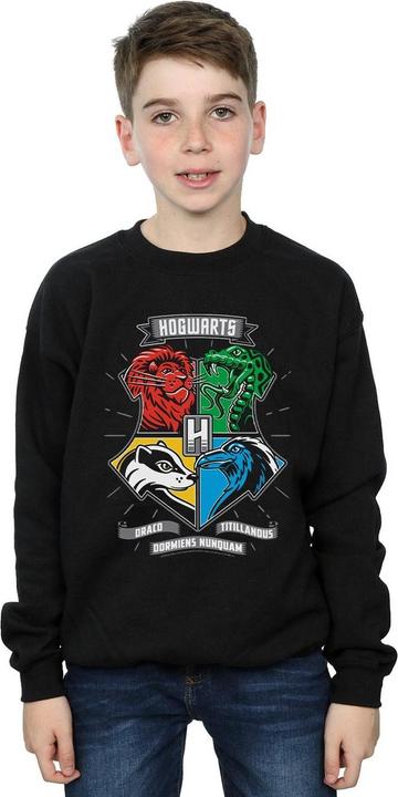 Produktbild Hogwarts Toon Crest Sweatshirt Jungen (152, 158)