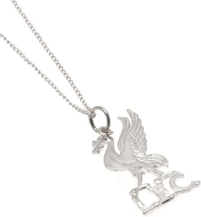 Immagine prodotto Score Draw Placcato Argento Collana e Ciondolo (100% materiale sintetico)