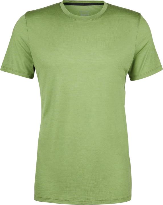 Verde Cedro