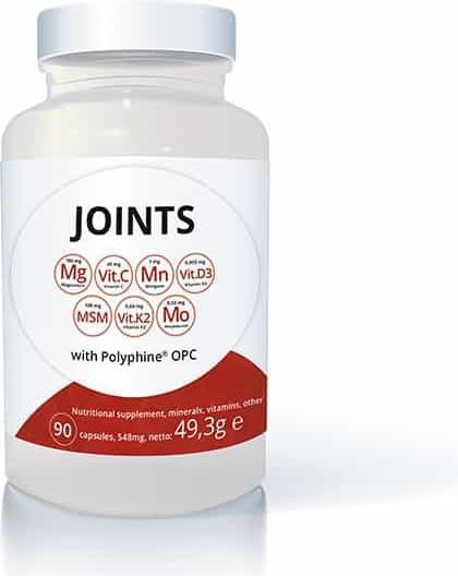 Swiss point of care Good for JOINTS with glucosamine and vitamin D x90 (90 Piece, Powder, 58 g)