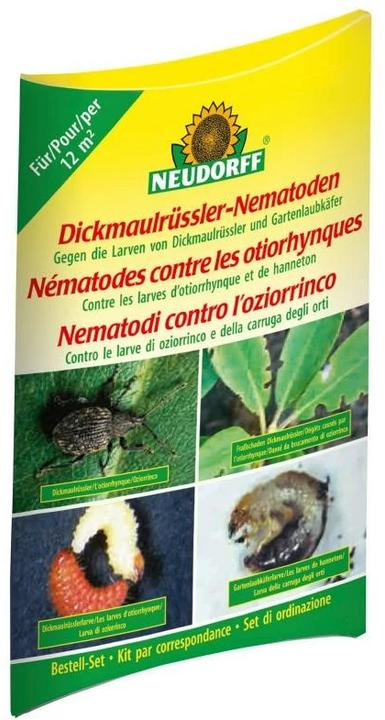 Neudorff Dickmaulrüssler-Nematoden (Bestell-Set mit Bestellgutschein) (Schadinsekten)