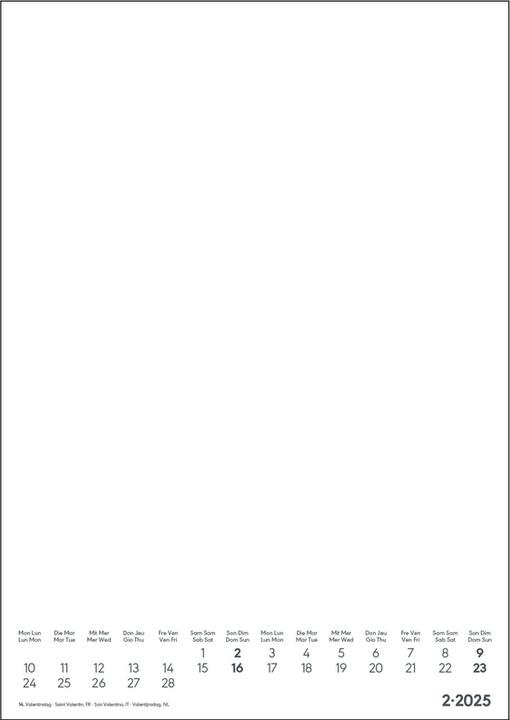 Image du produit Alpha Edition Calendrier photo bricolage blanc 2025, 21x29,7cm, calendrier Do it yourself avec pages en (A4, Non contraignant, Allemand)