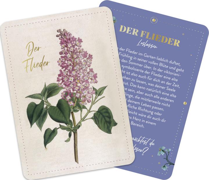Produktbild Die geheimnisvolle Sprache der Blumen - 50 Orakelkarten für das ganze Jahr (Deutsch, Groh Verlag, 2024)