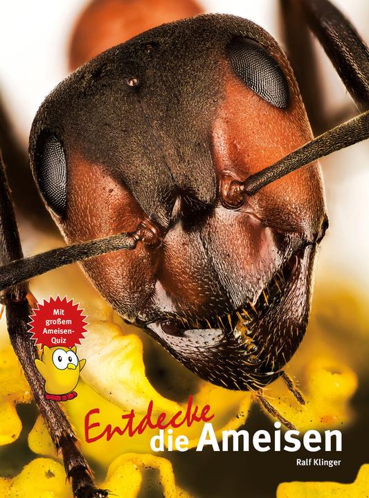 Livre pour enfants