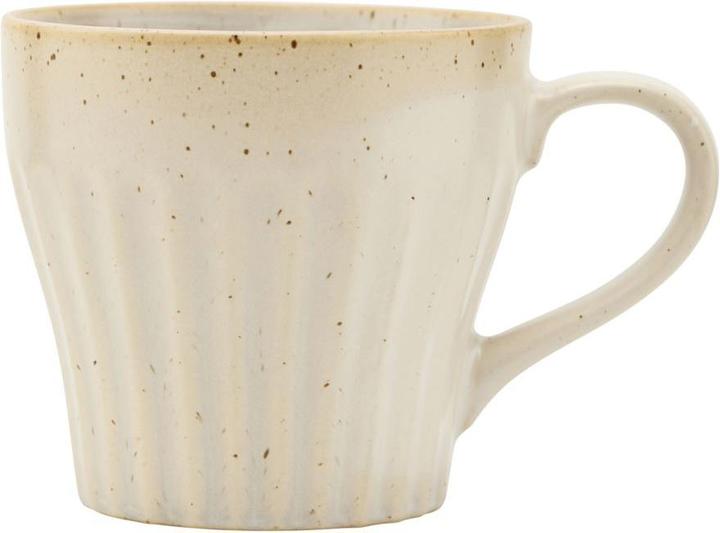 Berica (300 ml, 1 x)