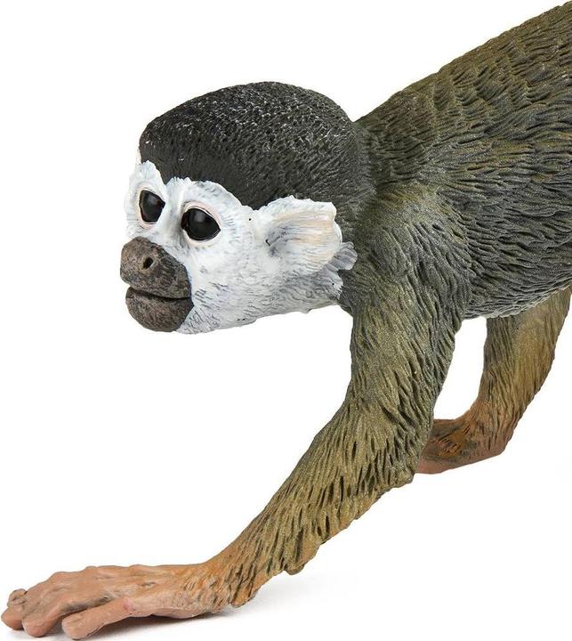 Actual product image Safari Squirrel Monkey