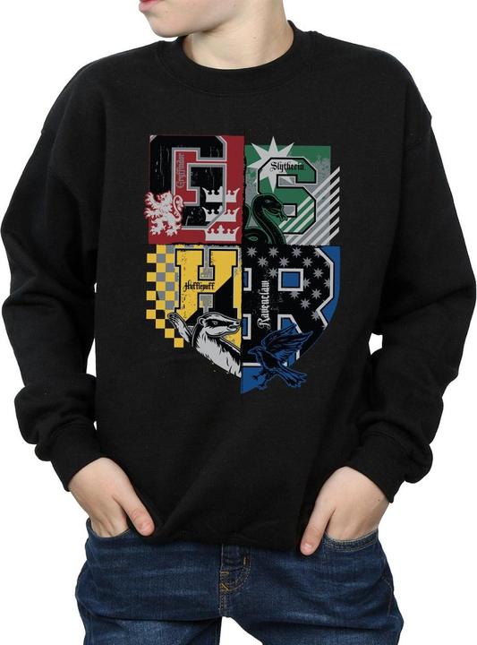 Image du produit Sweatshirt garçon (152, 158)