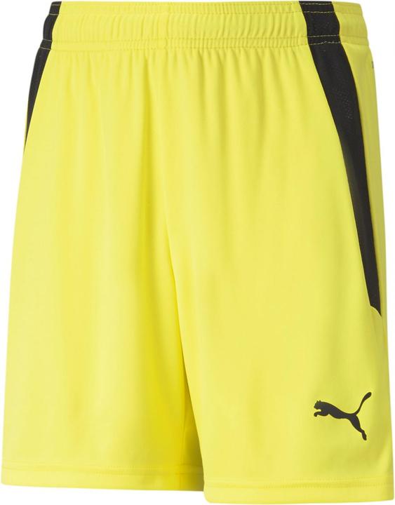 Image du produit Puma short teamLIGA Jr-704931 (116)