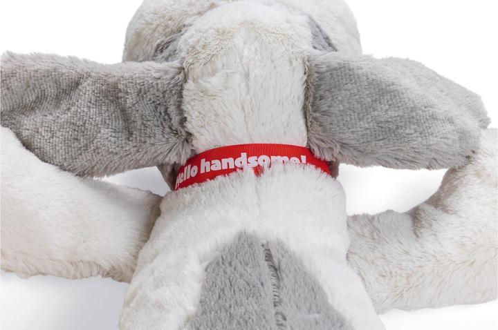 Immagine prodotto Beeztees Cravatte (Cane di peluche)