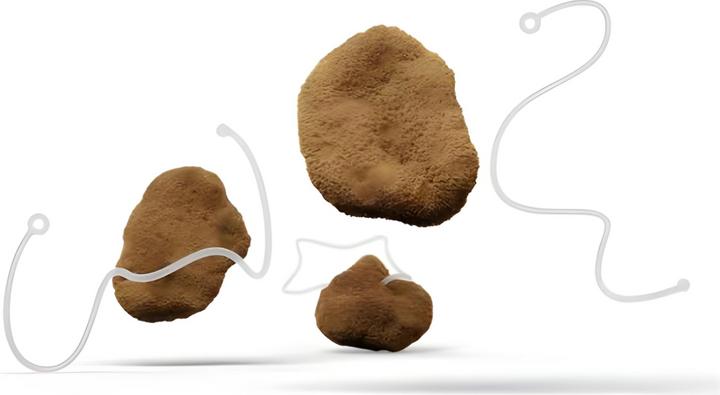 Produktbild Hera Organics Menstruationsschwämme mit Rückholfaden (L)