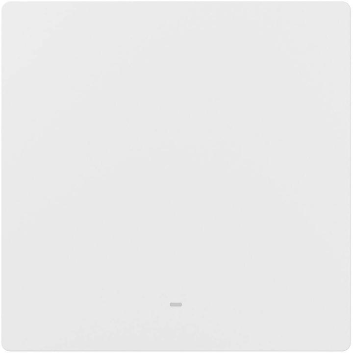Actual product image Sonoff SwitchMan