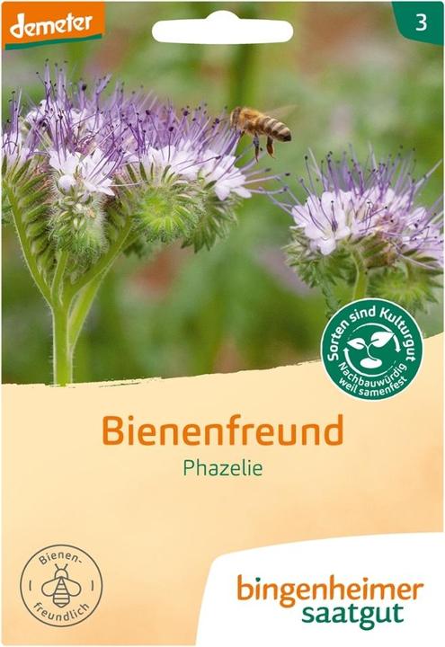 Actual product image Bingenheimer Saatgut Bee friend Phazelia (Bulbous plant)