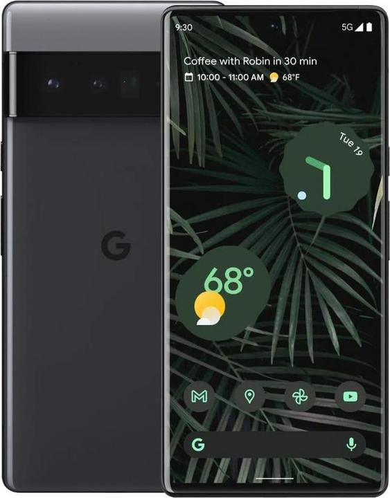 Google Pixel 6 Pro (256 GB, Stormy Zwart, 6.70", SIM + eSIM, 50 Mpx, 5G)