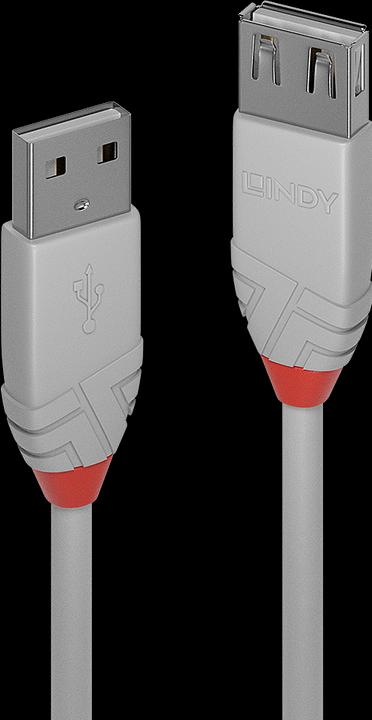 Immagine prodotto Lindy USB A –  USB A (1 m, USB 2.0)