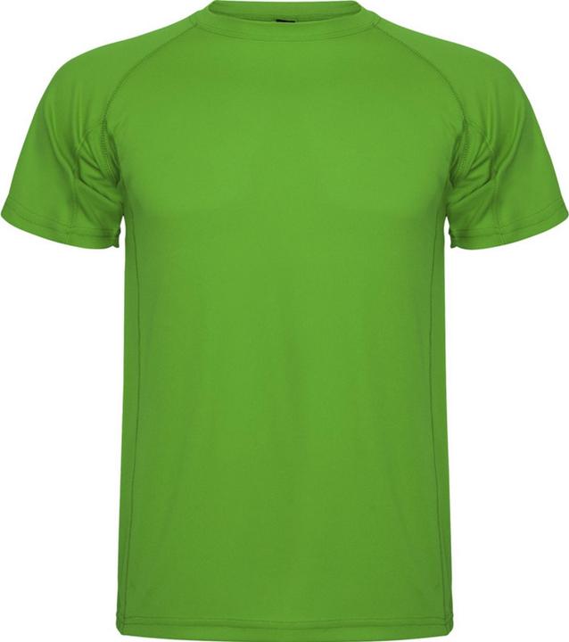 Vert fougère