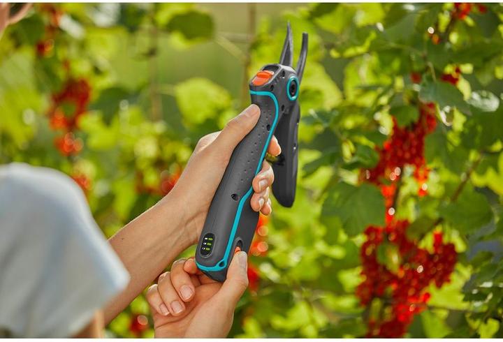 Actual product image Gardena AssistCut