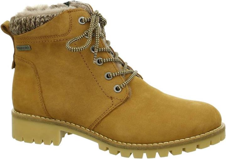 113 camel*