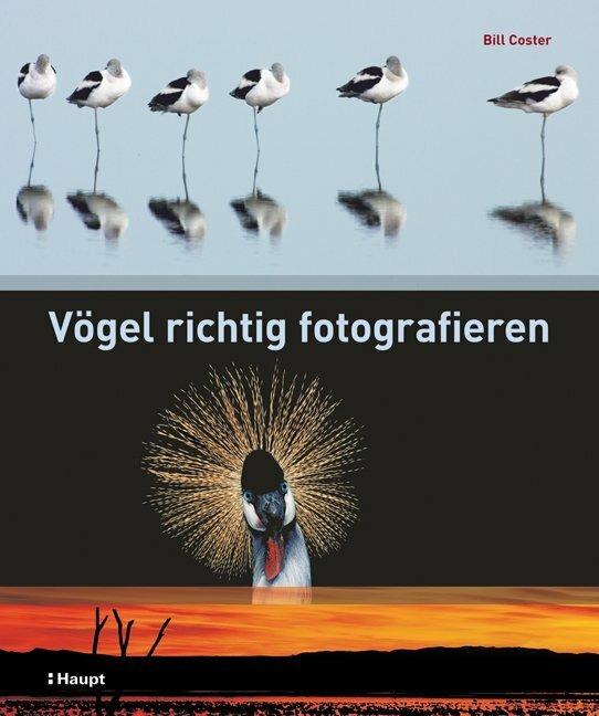 Produktbild Vögel richtig fotografieren (Deutsch, Bill Coster, 2010)