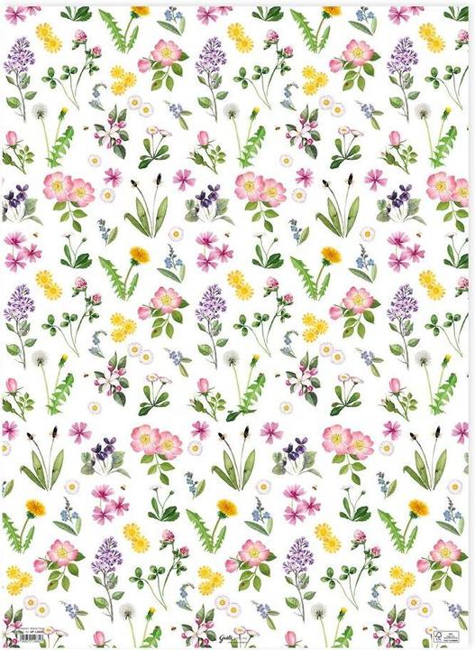 Image du produit Grätz Papier cadeau Pré fleuri 68 x 98 cm, Matériau : papier (Papier cadeau, 1 x)