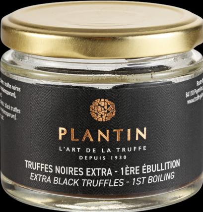 Image du produit Plantin Truffe noire du Périgord à la pièce 1ère (52 g)