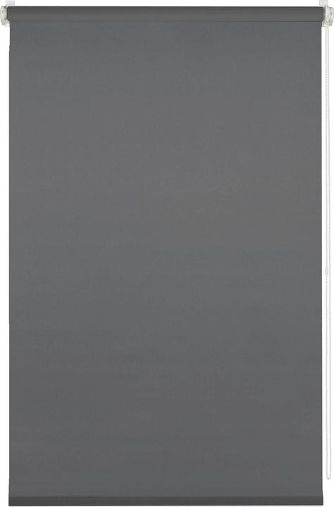 My home Klemmrollo (90 x 210 cm)