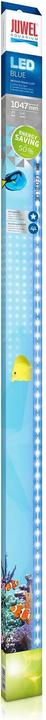 Actual product image Juwel Aquarium Blue (LED, 21 W)