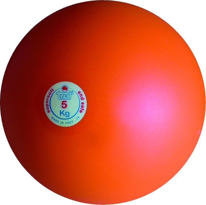Trial Stosskugel (5000 g)