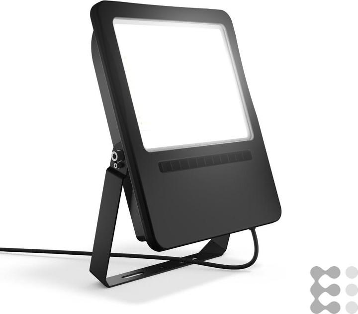 RZB LED floodlight