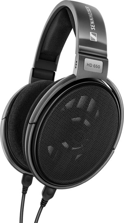 Sennheiser HD 650 (keine Geräuschunterdrückung, Kabelgebunden)
