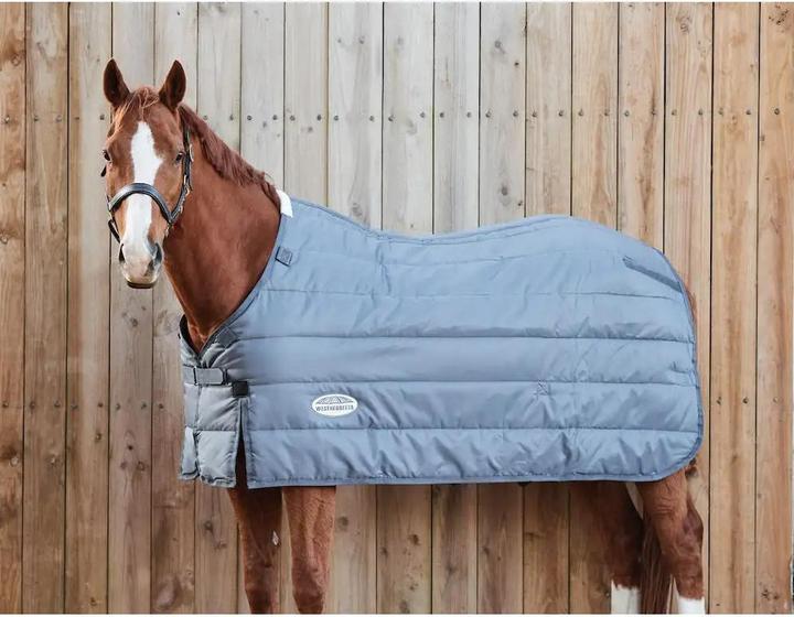 Image du produit Weatherbeeta Comfitec Thermi 100 g (150 cm)