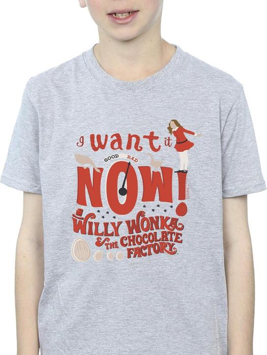 Actual product image Willy Wonka & the Chocolate Factory Boys Verruca Salt I Want It Now T-Shirt (140, 146)
