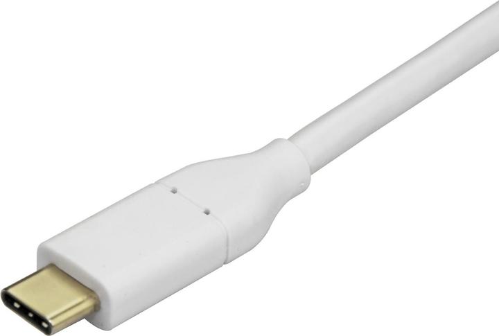 Produktbild StarTech USB-C zu Mini DisplayPort (Mini DP, 6 cm)