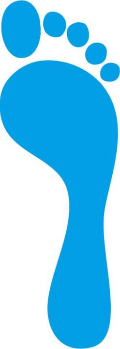 Actual product image Atlas ERGO-MED insole blue, size 39