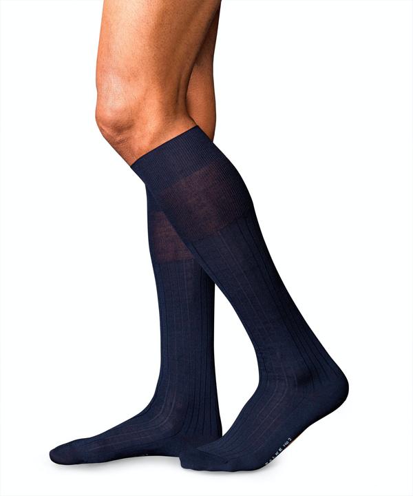 Falke No. 2 KH