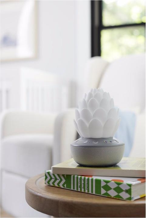Actual product image Skiphop Succulent night light