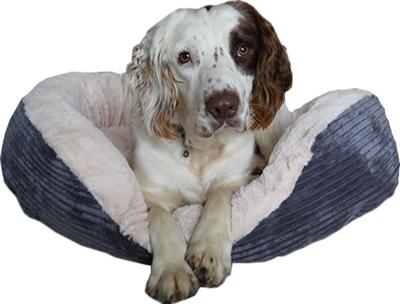 Rosewood Hondenmand Ovaal Jumbo Cord Pluche Grijs / Creme (Hund)