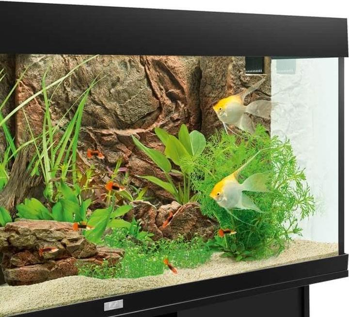 Produktbild Juwel Aquarium Motivrückwand Cliff Dark (Rückwand, sonstige Gegenstände)