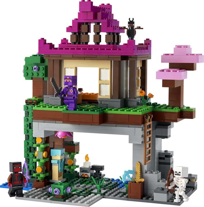 Immagine prodotto LEGO Il campo di allenamento (21183, LEGO Minecraft)