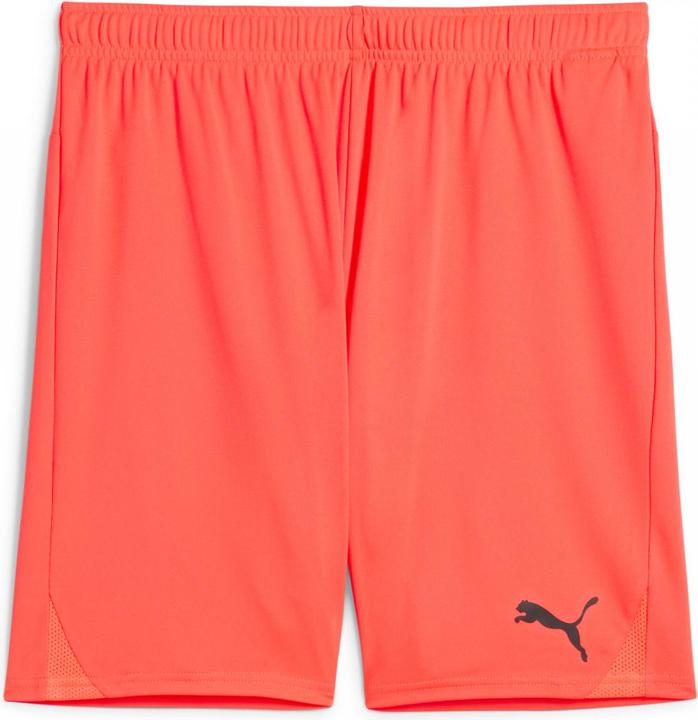 Actual product image Puma teamGOAL shorts (XL)