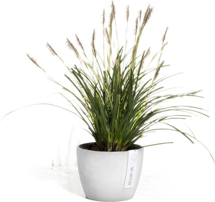 Immagine prodotto Ecopots Stoccolma (16 cm)
