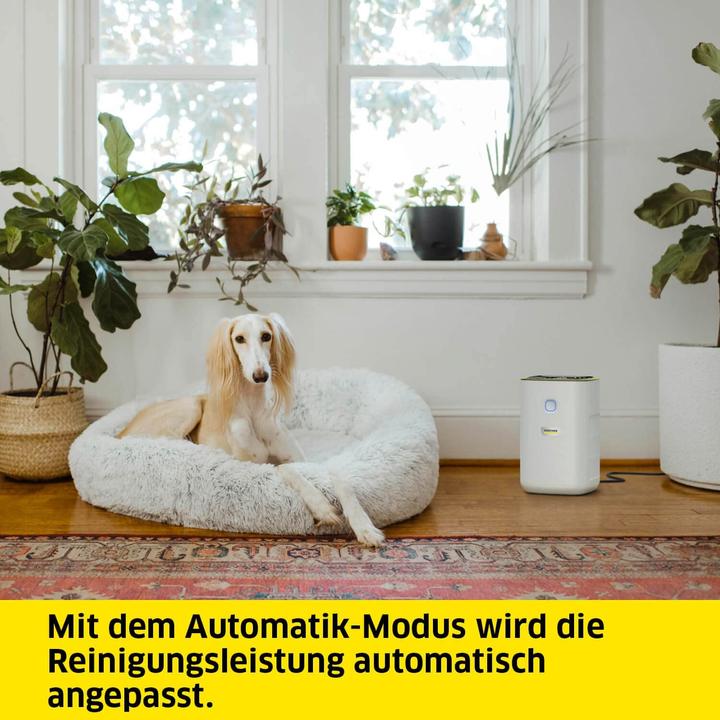 Immagine prodotto Kärcher AF 20 (20 m²)