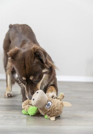 Immagine prodotto Trixie Giocattolo per cani Mucca, 50 cm, Beige (Gioco da masticare per cani)