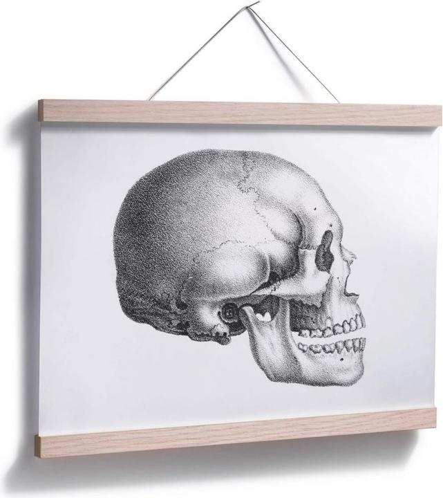 Produktbild Trenddeko Totenschädel 01 (50 x 40 cm)