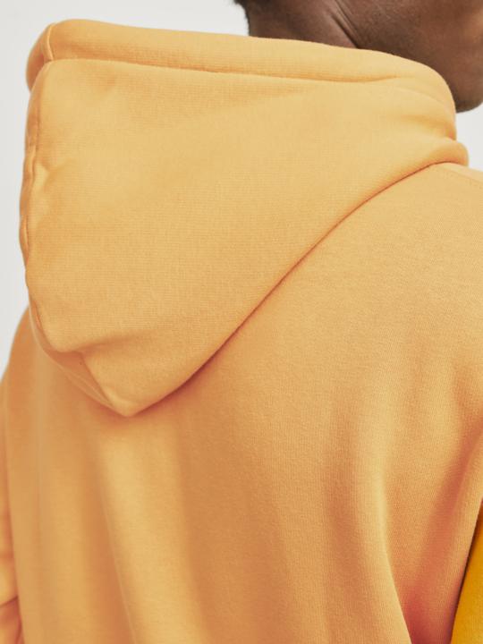 Produktbild Jack & Jones Jorvesterbro Sweat Hood Noos (XXS)