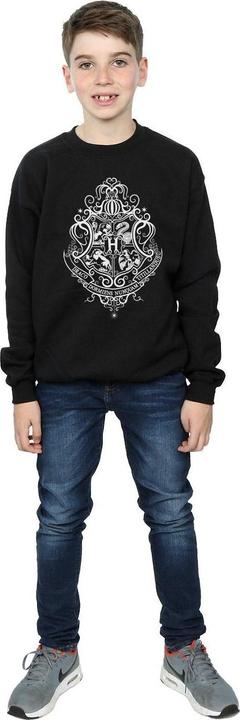 Image du produit - Sweat HOGWARTS DRACO DORMIENS CREST - Garçon (116)