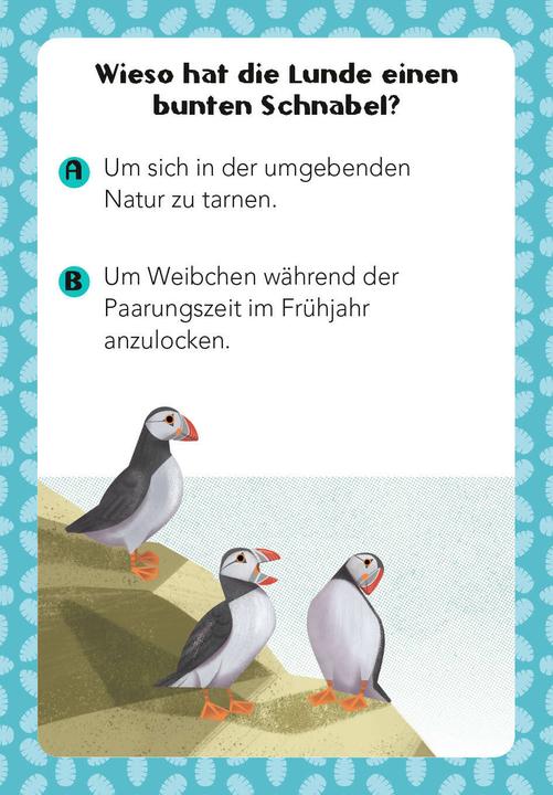 Produktbild National Geographic Tier-Quiz. 100 Fragen über Tiere für Quizfans und Tierfans (100 Fragen & Antworten) (Deutsch)