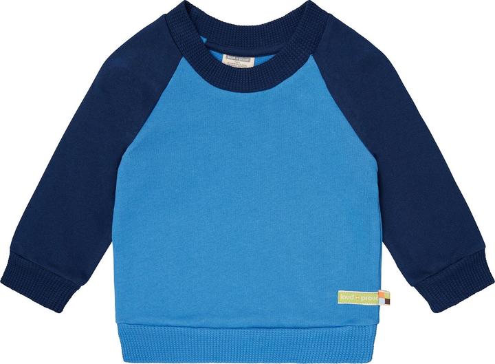 loud + proud Sweatshirt with raglan sleeves