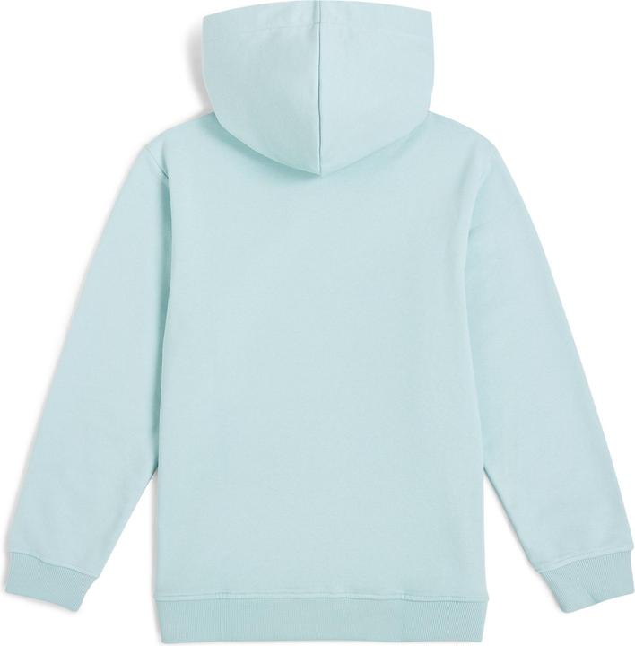 Actual product image O'Neill Logo Hoodie (164)