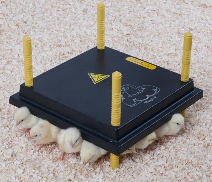 Actual product image Olba Comfort