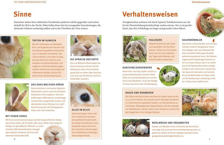 Produktbild Spiel- & Wohnideen Zwergkaninchen (Deutsch, Esther Schmidt, 2011)
